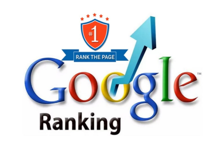 Business owner analyzing why a website is not ranking on Google using SEO tools and website analytics in UAE